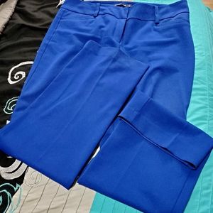Women royal blue dress pants